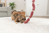 PHO_PRO_DOG_3252-3