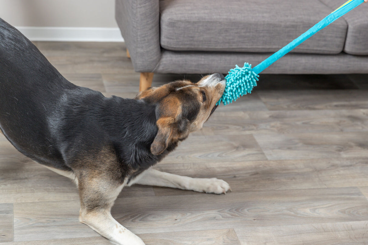 PHO_PRO_DOG_32866-3