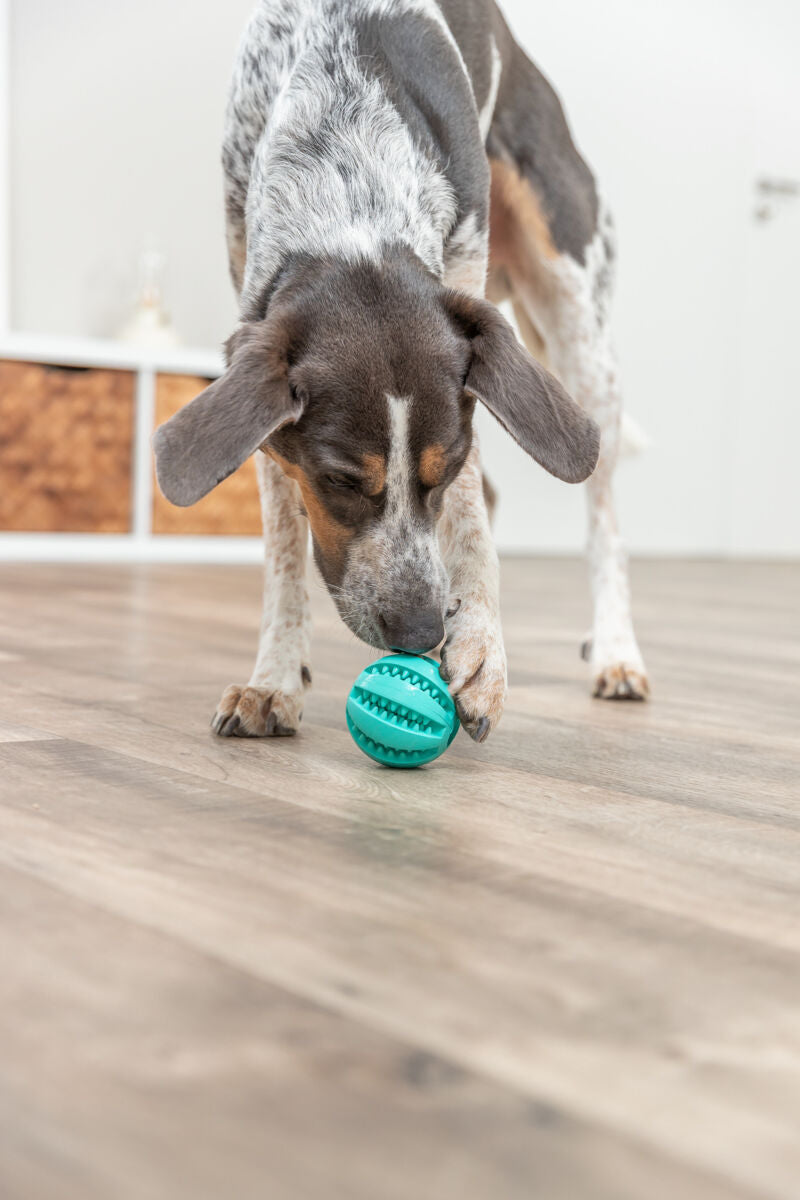 PHO_PRO_DOG_3289-4