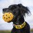 PHO_PRO_DOG_3332-2