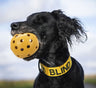 PHO_PRO_DOG_3332-2