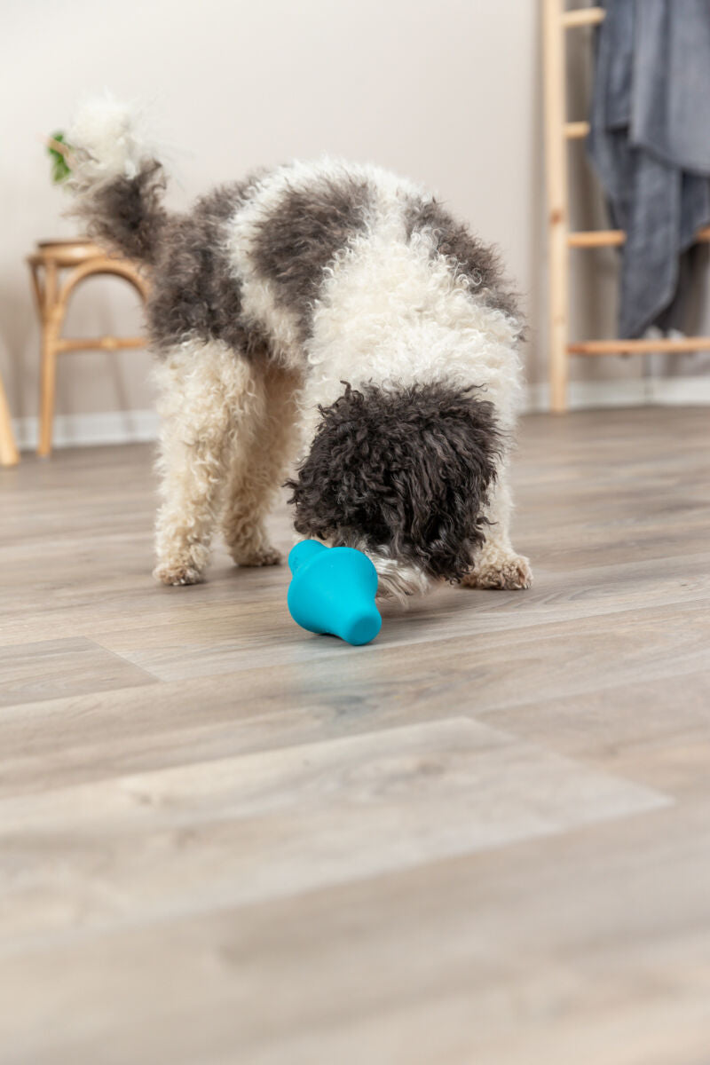 PHO_PRO_DOG_33419-1