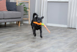 PHO_PRO_DOG_34708-1