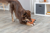 Ein brauner Hund spielt auf einem Holzboden mit einem orangen Spielzeug, im Hintergrund ist ein Regal sichtbar.