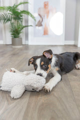 PHO_PRO_DOG_34820-4