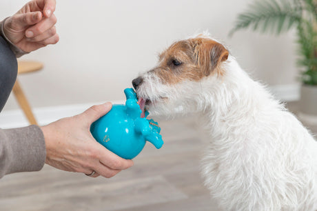 PHO_PRO_DOG_34933-5