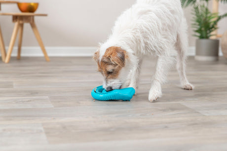 PHO_PRO_DOG_34950-4