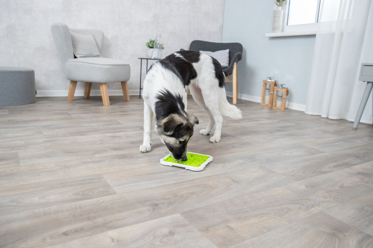 Hund spielt mit einem grünen interaktiven Spielzeug auf einem Holzfußboden, Hintergrund mit grauen Möbeln.