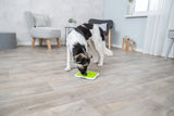 Hund spielt mit einem grünen interaktiven Spielzeug auf einem Holzfußboden, Hintergrund mit grauen Möbeln.