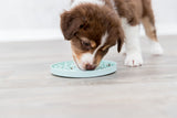 PHO_PRO_DOG_34954-2