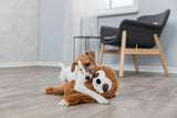 PHO_PRO_DOG_35671-1