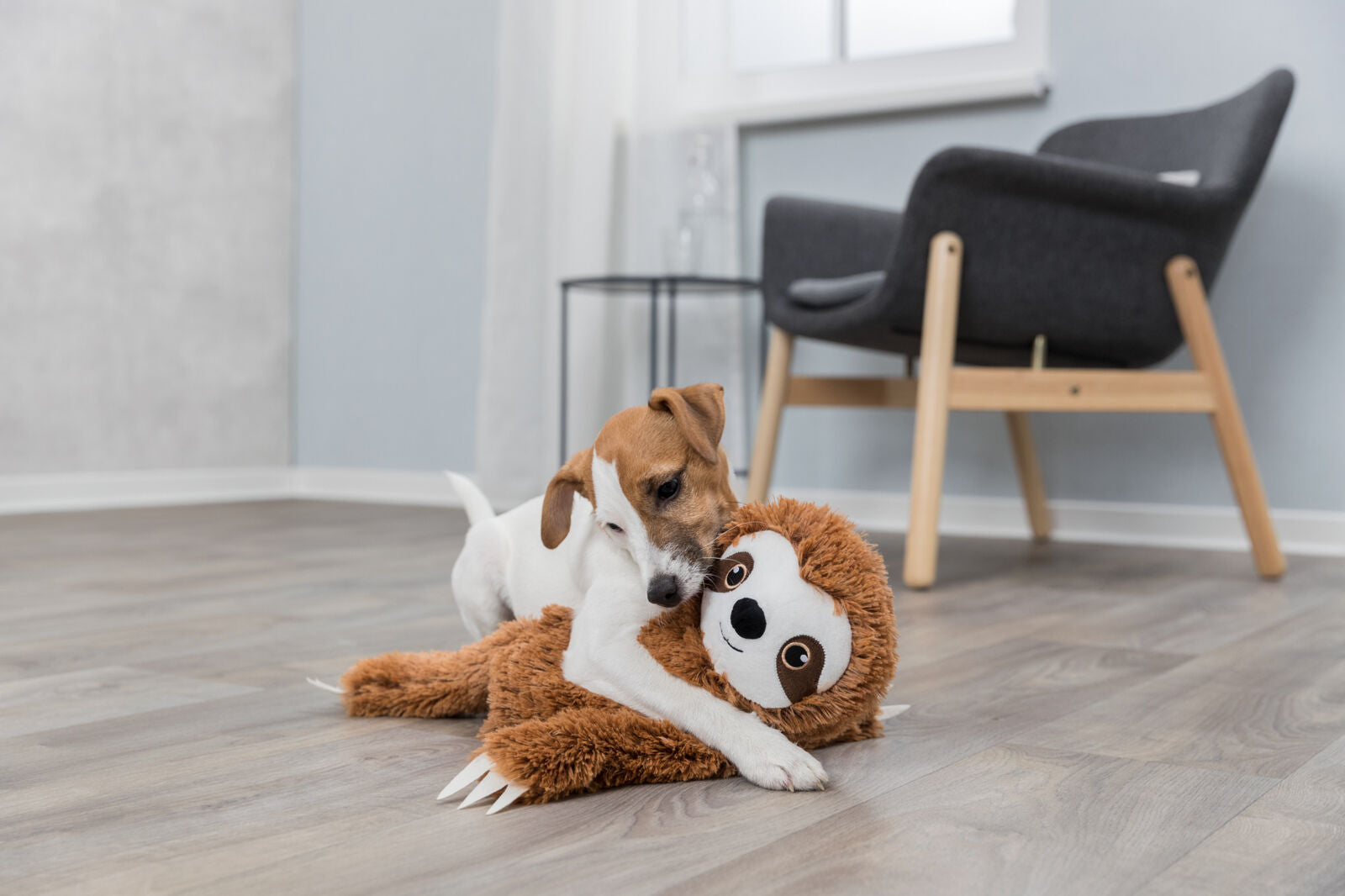Hund spielt auf Holzboden mit einem großen, plüschigen Stofftier in einem modern eingerichteten Zimmer.