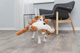 PHO_PRO_DOG_35672-1