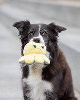 PHO_PRO_DOG_35928-10