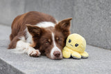 PHO_PRO_DOG_35928-13