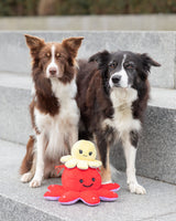PHO_PRO_DOG_35928-35929-3