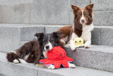 PHO_PRO_DOG_35928-35929-6