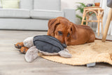 PHO_PRO_DOG_36062-3
