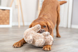PHO_PRO_DOG_36096-1