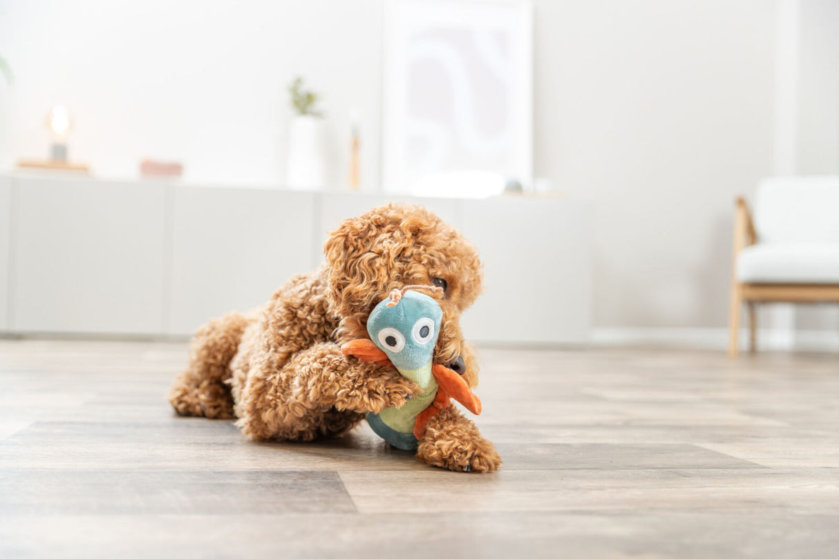 Hundeplüschtier Schmetterling