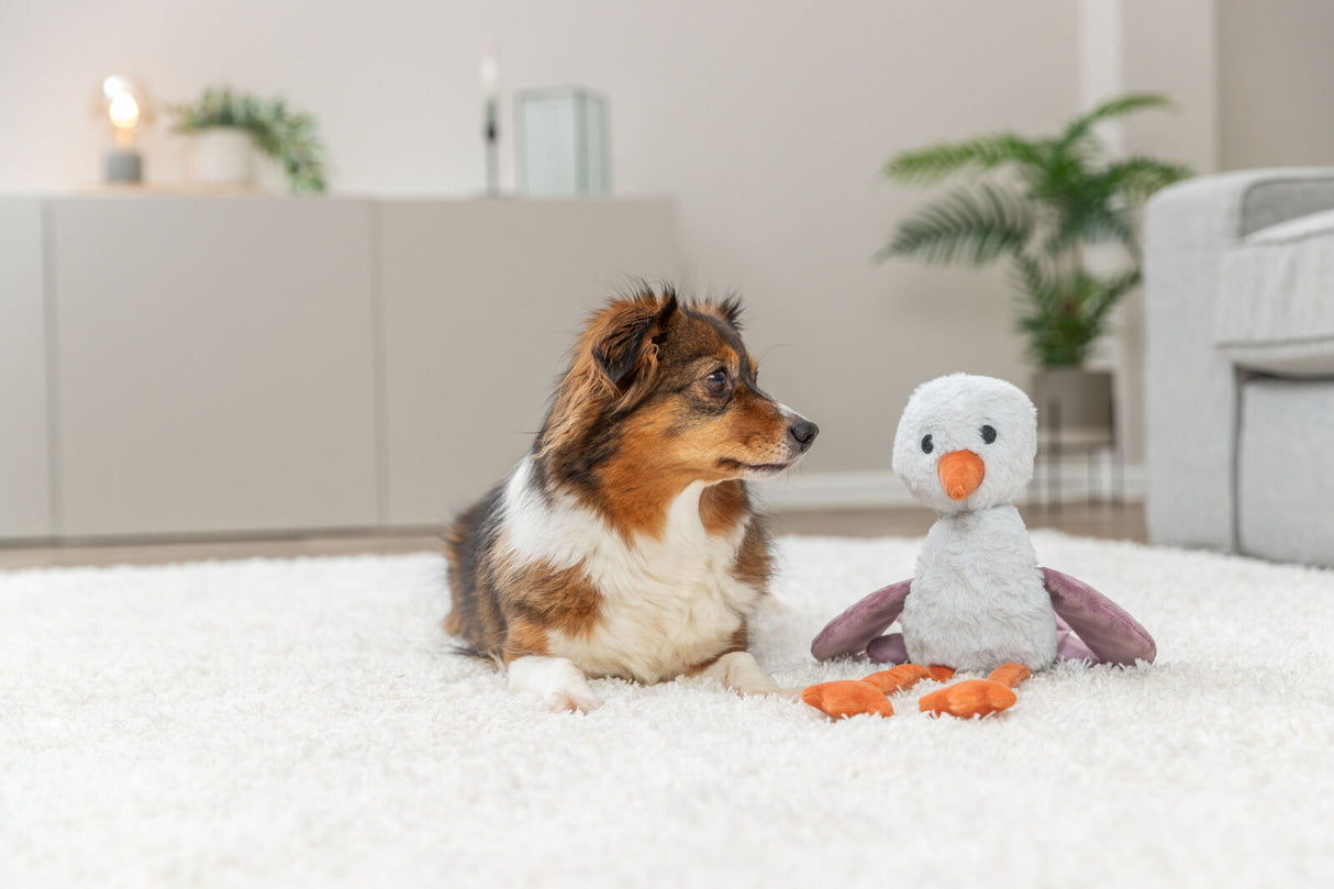 PHO_PRO_DOG_361002-1