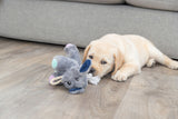 PHO_PRO_DOG_36160-3