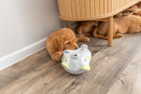 PHO_PRO_DOG_36165-3