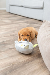 PHO_PRO_DOG_36165-4