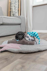 PHO_PRO_DOG_36166-13