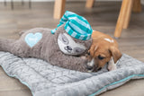 PHO_PRO_DOG_36166-2