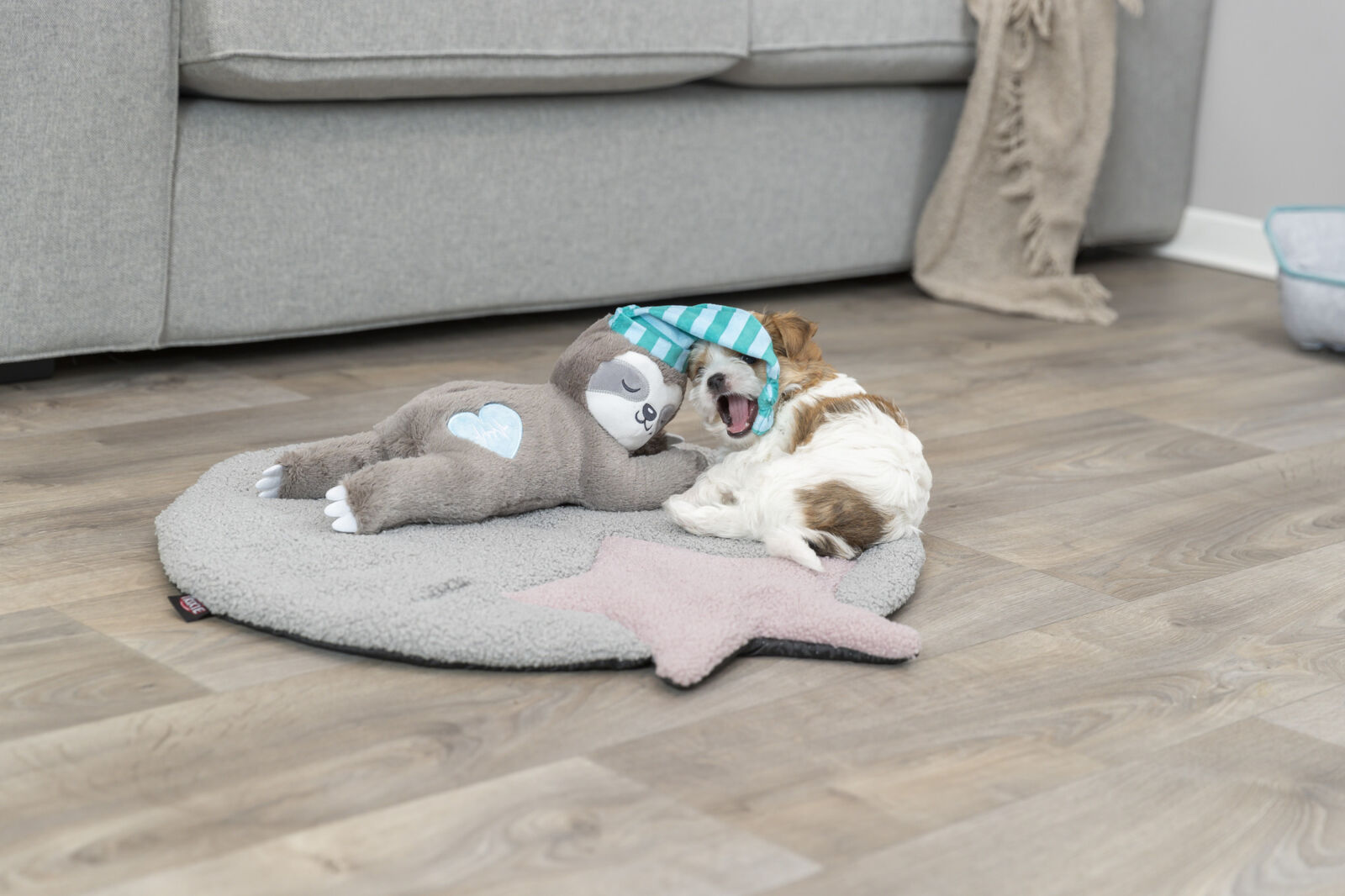 Ein kleiner Hund liegt auf einem grauen Hundebett mit einem Plüschfaultier, dessen Mütze sein Gesicht bedeckt.