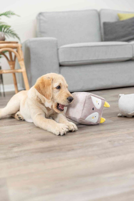 Ein heller Hund spielt auf einem Holzboden mit einem Plüschspielzeug in Form einer Eule, im Hintergrund ein graues Sofa.