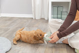PHO_PRO_DOG_36168-2