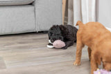 PHO_PRO_DOG_36169-4