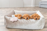 PHO_PRO_DOG_36169-8