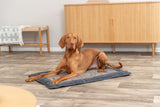 PHO_PRO_DOG_36507-36508-2