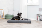 PHO_PRO_DOG_36732-3