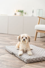 PHO_PRO_DOG_367400-367401-367402-367403-367404-1