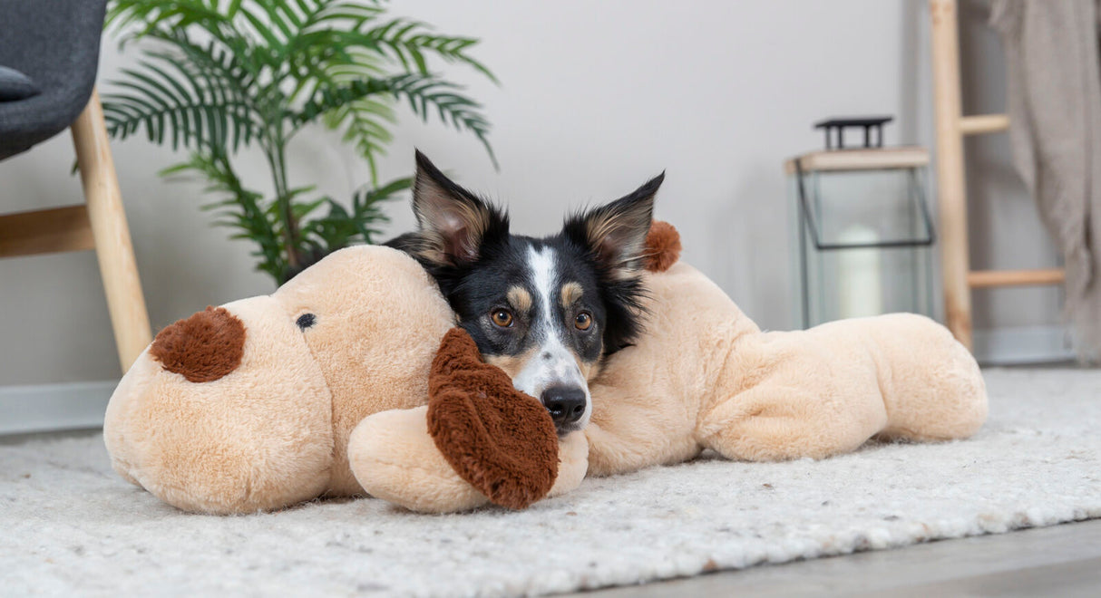 Hund liegt auf einem beigen Plüschspielzeug auf einem hellen Teppich, im Hintergrund eine Pflanze.