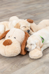 PHO_PRO_DOG_36980-13