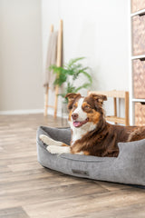Hund liegt in grauem Hundebett auf Holzfußboden in einem hellen Raum.