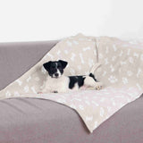 Ein kleiner weiß-schwarzer Hund liegt auf einer grauen Couch mit einer beige gemusterten Decke.