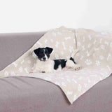 PHO_PRO_DOG_37162-37166-1