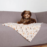 PHO_PRO_DOG_37177-1