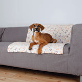 PHO_PRO_DOG_37178-1
