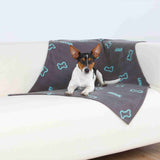 PHO_PRO_DOG_37195-1
