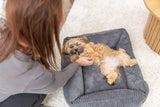 PHO_PRO_DOG_372770-372771-372772-372773-2