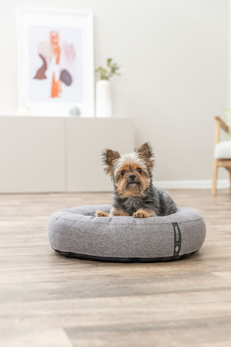 Ein kleiner Hund sitzt in einem runden, grauen Hundebett auf einem Holzboden in einem hellen Raum.