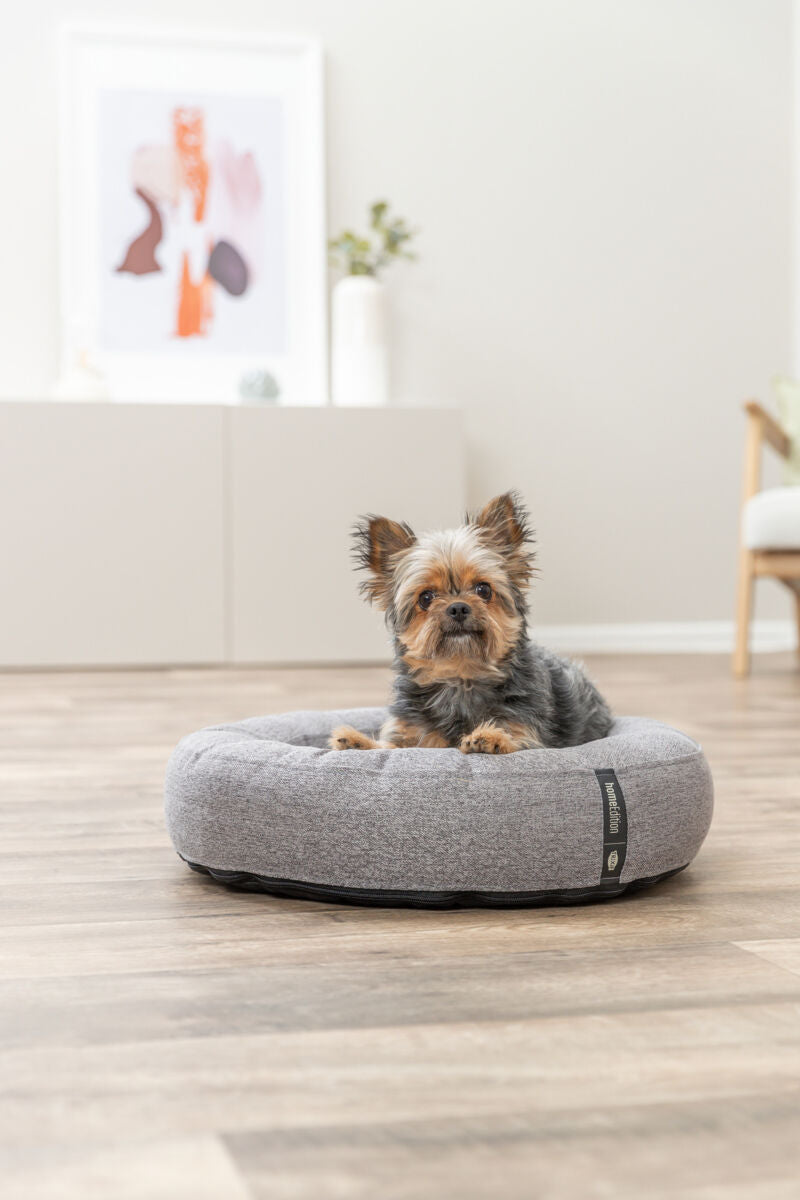 Ein kleiner Hund sitzt in einem runden, grauen Hundebett auf einem Holzboden in einem hellen Raum.
