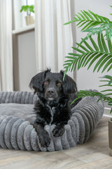 Schwarzer Hund liegt in einem grauen, flauschigen Hundebett auf Holzboden, mit Pflanzen im Hintergrund.